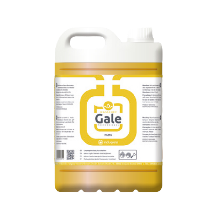 Limpiaplanchas Plus Alcalino GALE H-245